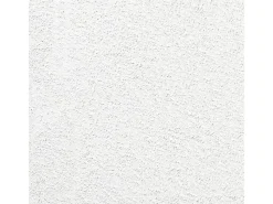 Gartenhaus Urban One Typ 1 Weiß 290 cm x 298 cm*Amazing Spaces Online