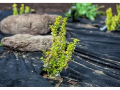 54m² Gartenvlies Unkrautvlies Unkrautfolie Mulchfolie Mulchvlies 150g 2m Breit*Aquagart Clearance