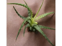 Aquagart Gartenvliese|18m² Gartenvlies Unkrautvlies Mulchvlies 80g 1,8m Breit Braun