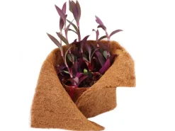 2m Kokosmatte Winterschutz Böschungsmatte Kokosfasermatte 800g/m² 0,5m Breit*Aquagart Discount