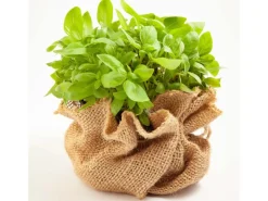 Aquagart Weitere Gartenhelfer|25m x 1m Jutegewebe 305g/m² Jutematte Gartenjute Jute Stoff Sackleinen Juteband