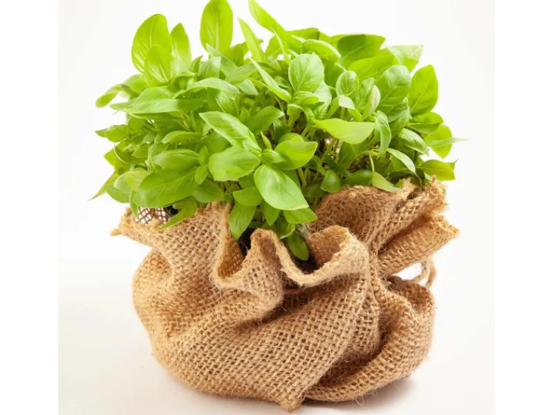 90m x 1m Jutegewebe 105g/m² Jutematte Gartenjute Jute Stoff Sackleinen Juteband*Aquagart Discount