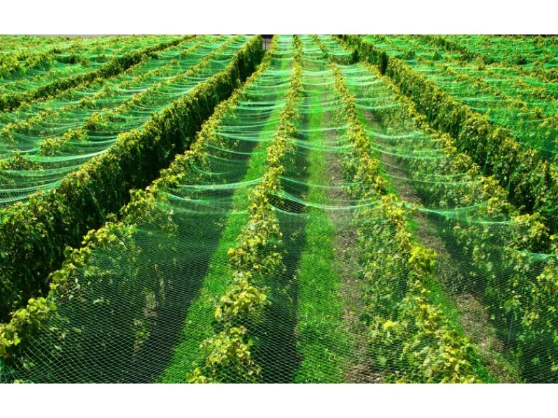 Aquagart Teichfolien|Teichnetz 3m x 8m Reiherschutz Silonetz Laubschutznetz Vogelschutznetz Laubnetz