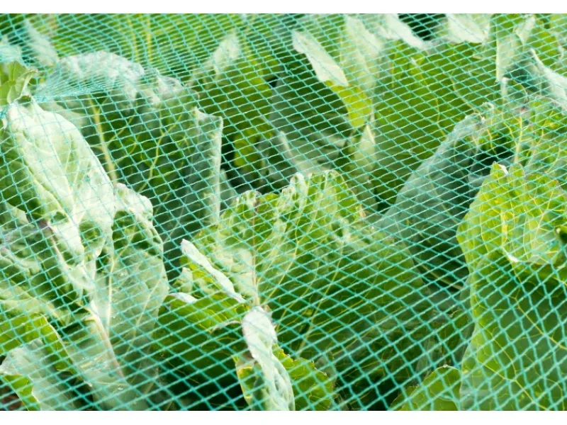 Aquagart Teichfolien|Teichnetz 3m x 8m Reiherschutz Silonetz Laubschutznetz Vogelschutznetz Laubnetz