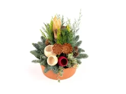 Weitere Anlässe|Basaltschale mit Tannengrün Exoten Ø 22 cm Rot