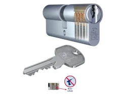 Basi Gartenschränke|- AS - Profil-Knaufzylinder - K50/35 mm - Gleichschließend