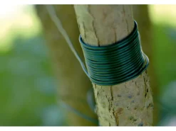 Weitere Gartenhelfer|Bindeband Kunststoff 25 m