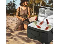 IceBreezer KT43 Kühltasche*bomoe Sale