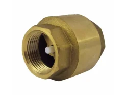 boni-shop Bewässerungssysteme|RüCkschlagventil 1 Zoll  Messing Mit Feder Innengewinde