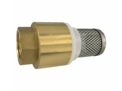 boni-shop Bewässerungssysteme|Saugkorb 3/4 Zoll  Messing Fussventil Mit RüCkschlagventil Edelstahl