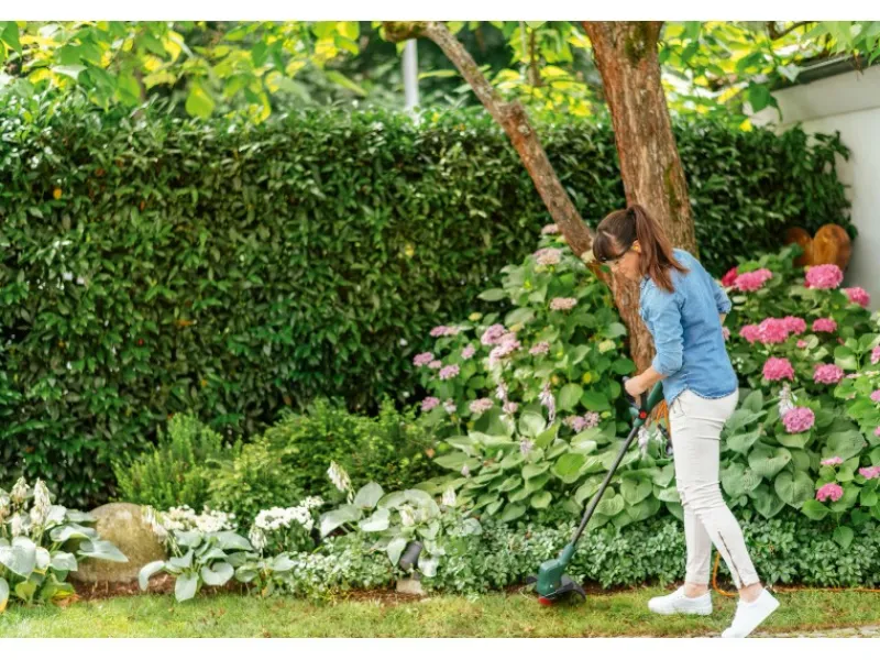 Rasentrimmer EasyGrassCut 26 mit 280 W*Bosch New