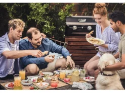 Gas-Tischgrill Attitude 2100 LX*Campingaz Hot