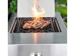 Gasgrill Professional Pro S 2 mit 2 Brennern & TRU-Infrared*Char-Broil Discount