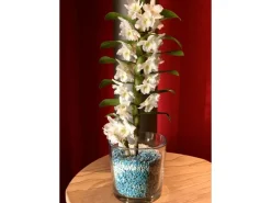 Hydrokultur|Colomi Orchideengranulat 1 l