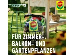 Sana Compact Qualitäts-Blumenerde 1 x 25 l*Compo Clearance
