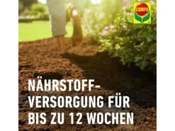 Sana Compact Qualitäts-Blumenerde 1 x 25 l*Compo Clearance