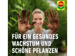 Sana Compact Qualitäts-Blumenerde 1 x 25 l*Compo Clearance