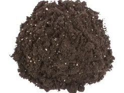 Sana Compact Qualitäts-Blumenerde 1 x 25 l*Compo Clearance