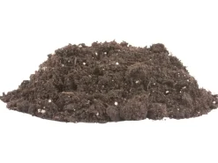 Sana Compact Qualitäts-Blumenerde 1 x 25 l*Compo Clearance