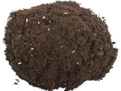 Compo Hydrokultur|Sana Qualitäts-Blumenerde 1 x 70 l