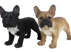 Sunny Garden Gartendekoration|Deko-Figur Hund Französische Bulldogge 35 cm 2-fach sortiert