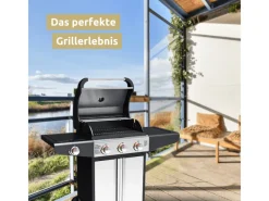 Grillwagen Gasgrill mit Deckel 3 Plus 1 Seitenbrenner Thermometer*deluxe4home Best