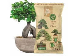 Dr.Soil Hydrokultur|Substrat für Bonsai 1L Beutel