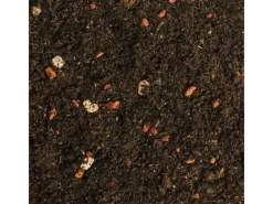 Dr.Soil Hydrokultur|Substrat für Bonsai 1L Beutel