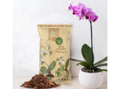Dr.Soil Hydrokultur|Substrat für Phalaenopsis Orchideen 1L Beutel