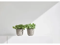 Pflanztopf Oslo Mini Braungrau 11,5 cm x 10 cm*Ecopots Clearance