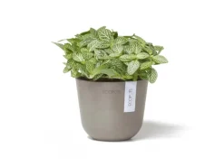 Pflanztopf Oslo Mini Braungrau 11,5 cm x 10 cm*Ecopots Clearance