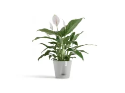 Pflanztopf Venice 2 20 cm x 17,5 cm*Ecopots New