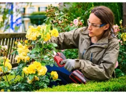 Einhell Baumscheren|Akku-Astschere Professional GP-LS 18/28 Li BL-Solo