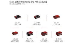 Akku-Astschere Professional GP-LS 18/28 Li T BL-Solo*Einhell Discount