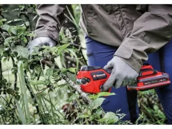 Akku-Astschere Professional GP-LS 18/28 Li T BL-Solo*Einhell Discount