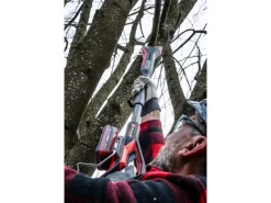 Einhell Kettensägen|Akku-Astschere Professional GP-LS 18/35 Li BL-Solo Schwarz-Rot