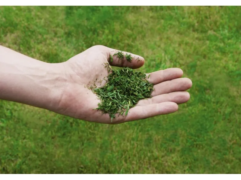 Einhell Rasenmäher|Akku-Rasenmäher GE-CM 36/43 Li-M