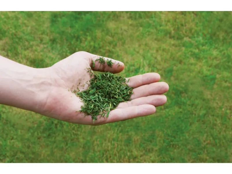 Einhell Rasenmäher|Benzin-Rasenmäher GC-PM 51/3 S HW