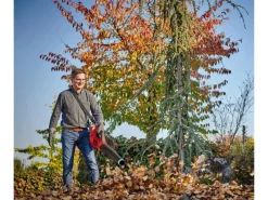 Einhell Laubbläser|Power X-Change Akku-Laubbläser GP-LB 36/210 Li E-Solo