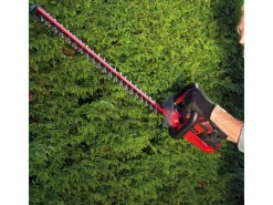 Einhell Heckenscheren|Power X-Change Akku-Heckenschere Arcurra 18/55