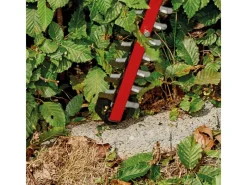 Einhell Heckenscheren|Power X-Change Akku-Heckenschere Arcurra 18/55