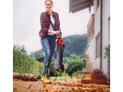 Einhell Laubbläser|Power X-Change Akku-Laubbläser und -sauger GE-CL 36 Li E Solo 18 V