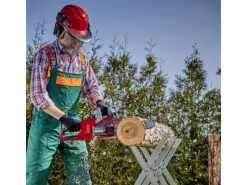 Power X-Change Akku-Kettensäge Fortexxa 18/30*Einhell Discount