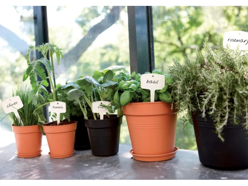 Elho Hydrokultur|Anzuchttopf Green Basics Ø 40 cm living