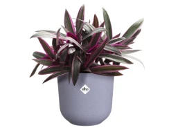 Blumentopf Jazz Ø 14,2 cm x 13,1 cm*Elho Discount