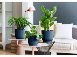 Blumentopf Vibes Fold Ø 16 cm x 15 cm*Elho Online