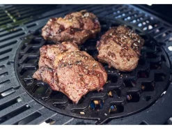 Enders Elektrogrills|Grillzubehör|®  Sear Grate Switch Grid