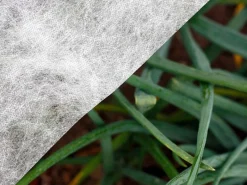 Wintervlies für Erdbeeren als Frostschutz 2,40 x 10 m*Erdbeerprofi Outlet