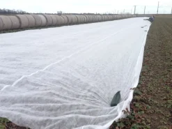 Wintervlies für Erdbeeren als Frostschutz 2,40 x 10 m*Erdbeerprofi Outlet