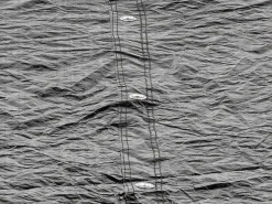 EXIT Trampolin Abdeckplane Ø 183 cm*Exit Toys New